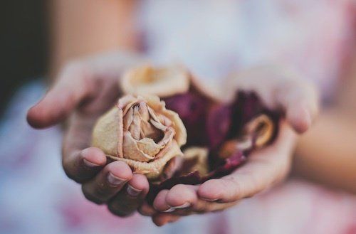 Wie Sie Schritt für Schritt zum Fördermittel kommen