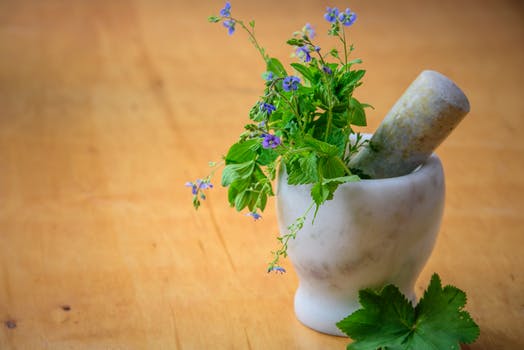 naturopathie