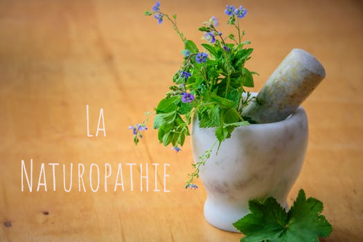 la naturopathie