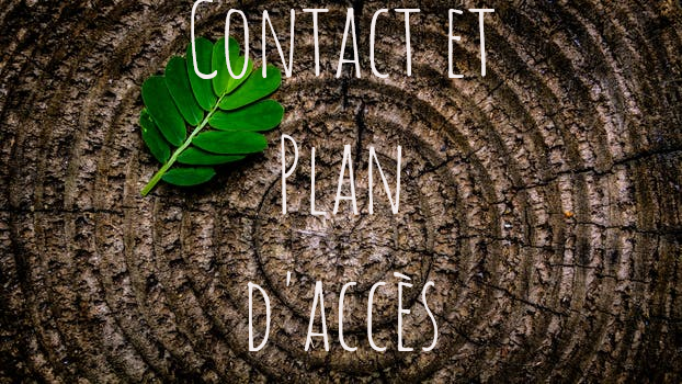 contact