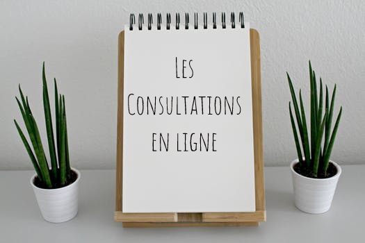 les consultations en ligne