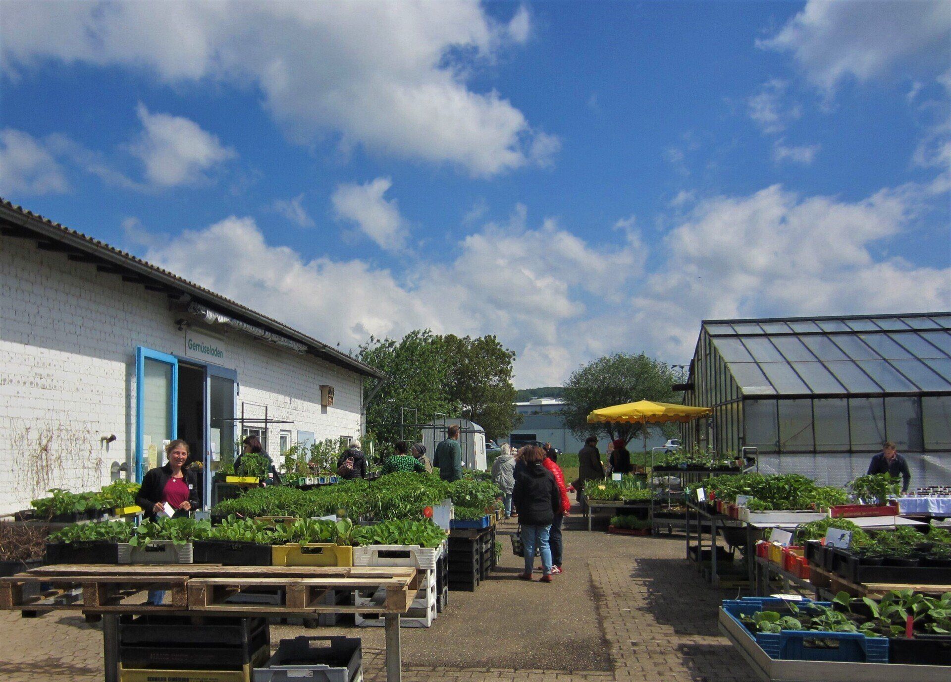 Bio-Gärtnerei Witt Emmendingen, Hofladen
