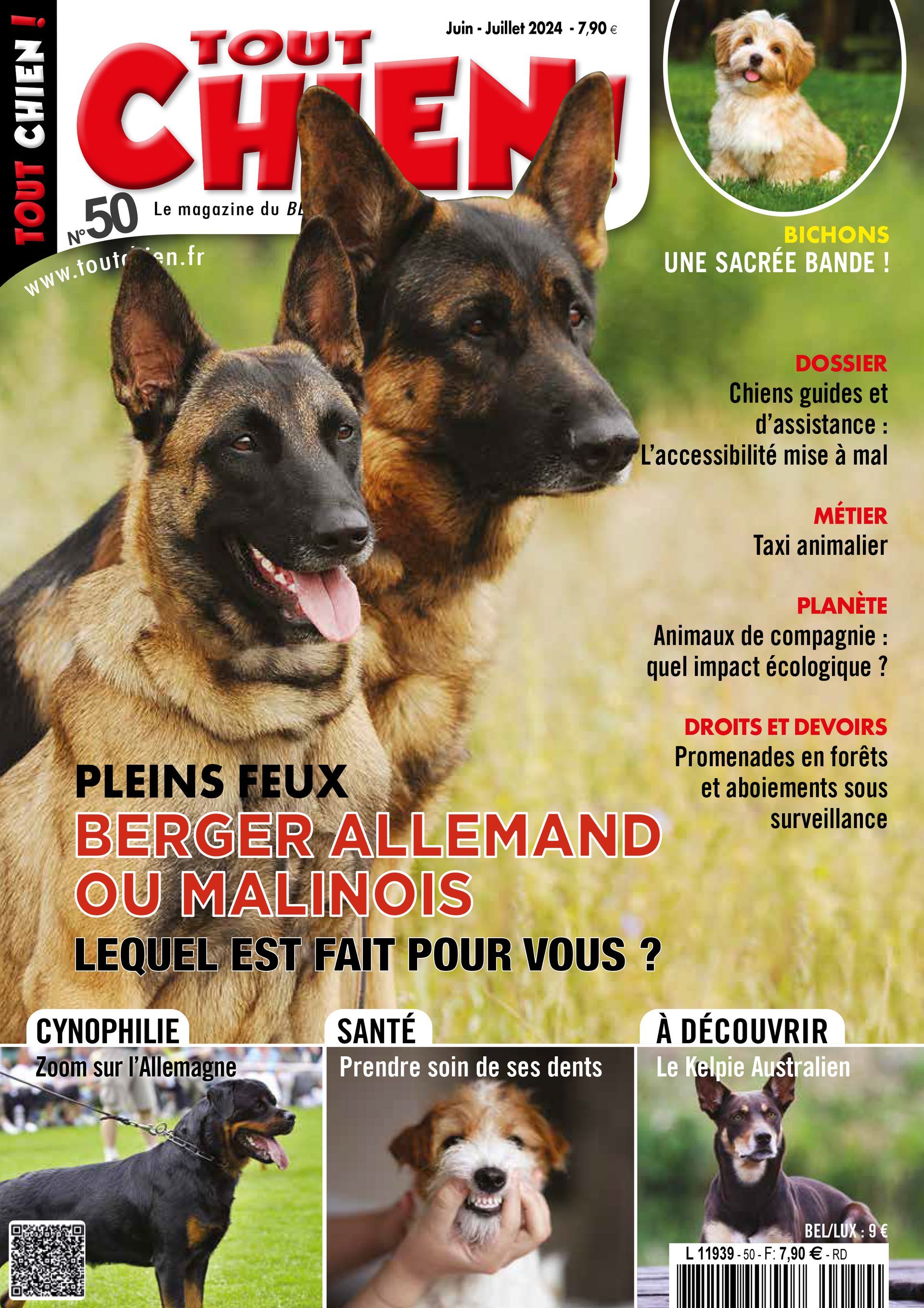 Article avec MAPETS du magazine Tout Chien sur le métier de Taxi Animalier Page 1