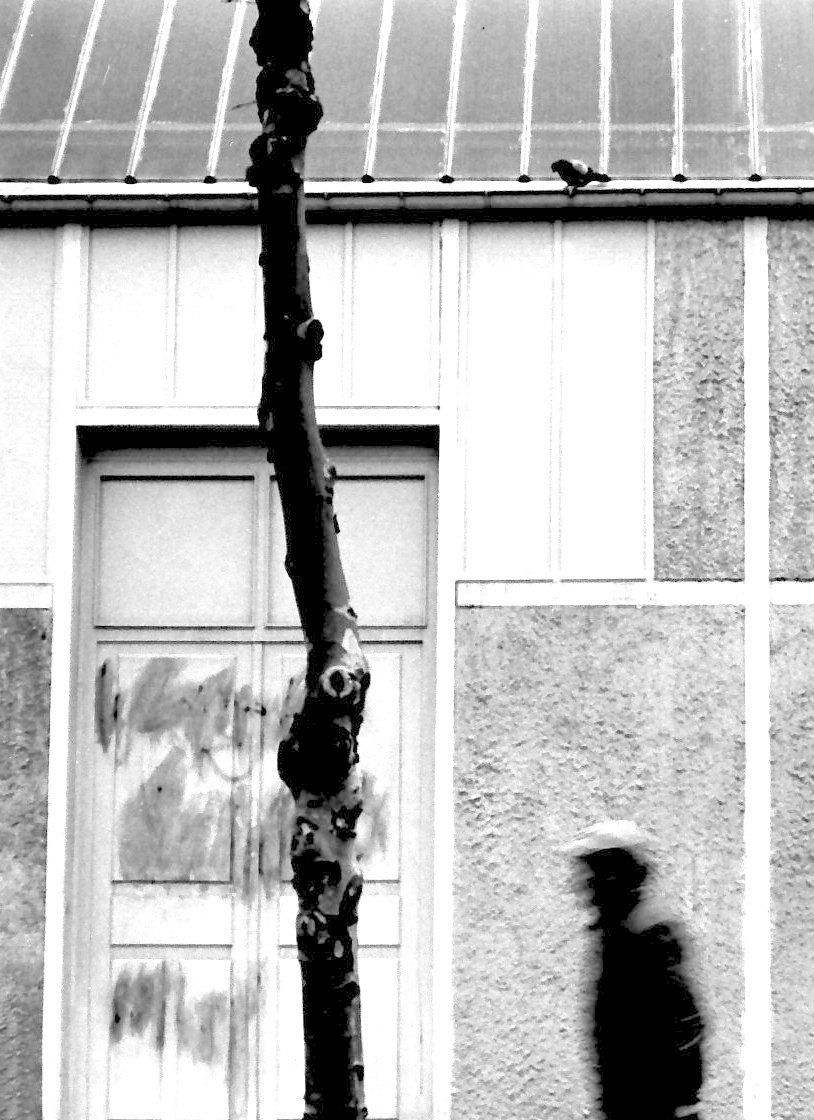b/w-Photography