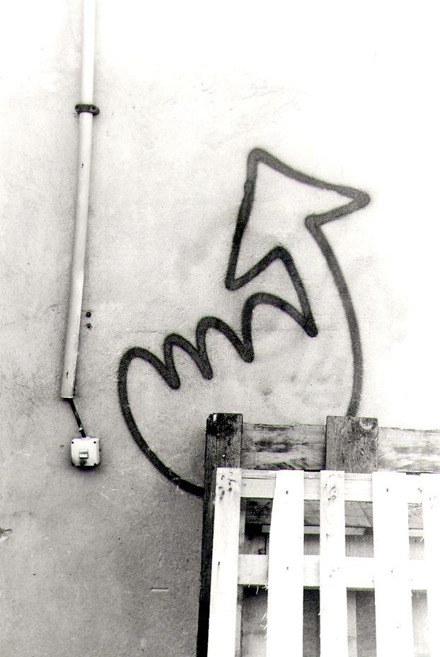 sw-Fotografie
