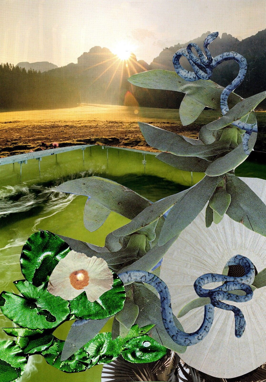 Ed Ernst - Collage Kunst. Serie Plantagen