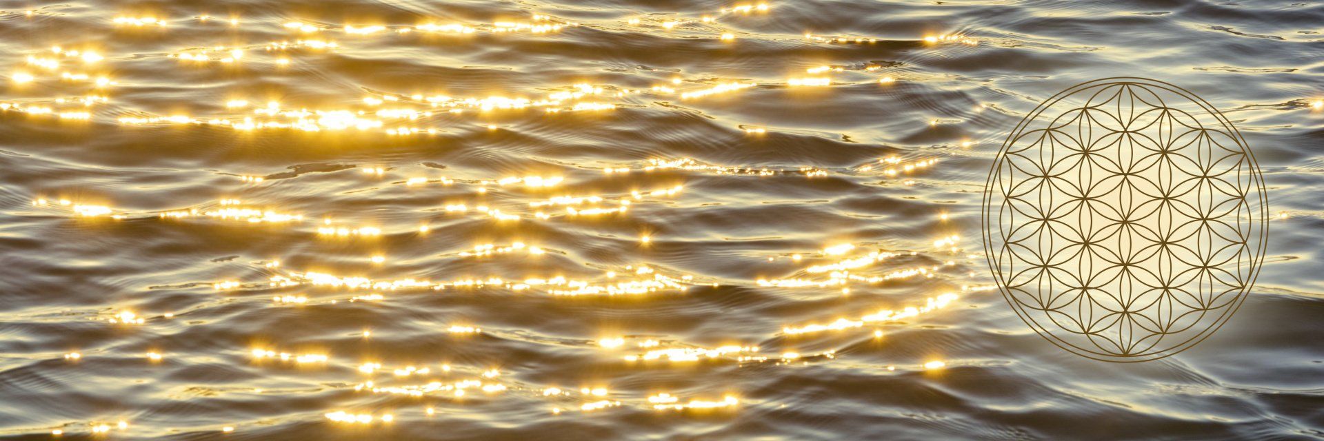 Blume des Lebens Blume des Lebens