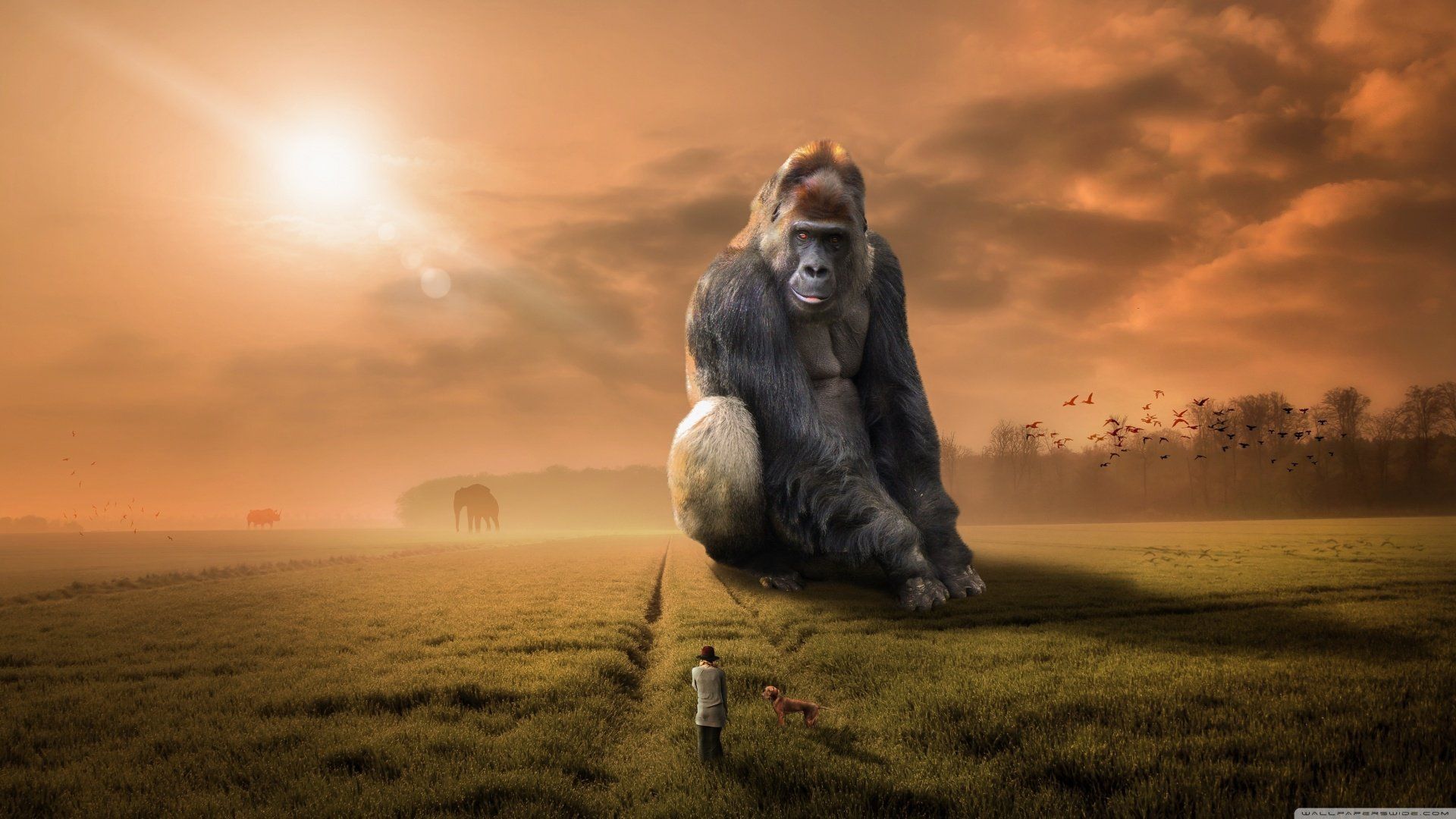 Macht ist dort, wo der Gorilla sitzt Macht ist dort, wo der Gorilla sitzt