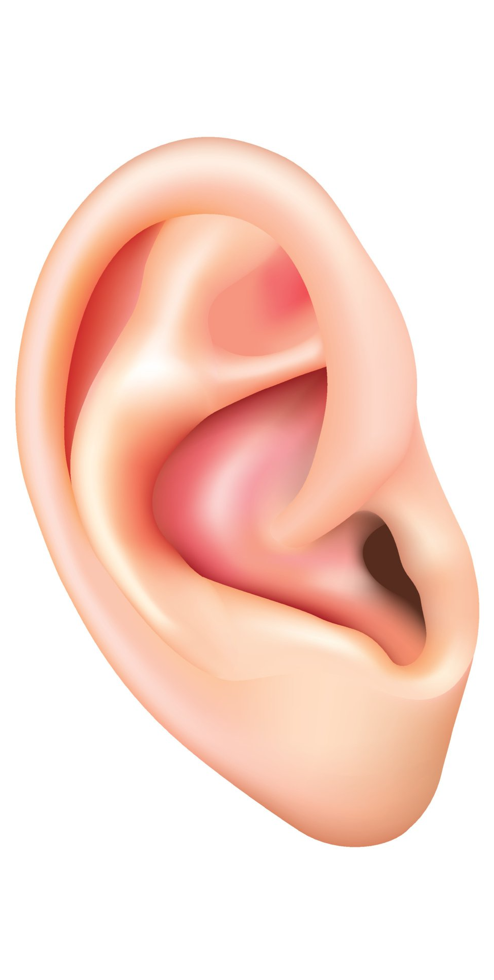 Rechter Kanal Rechter Kanal