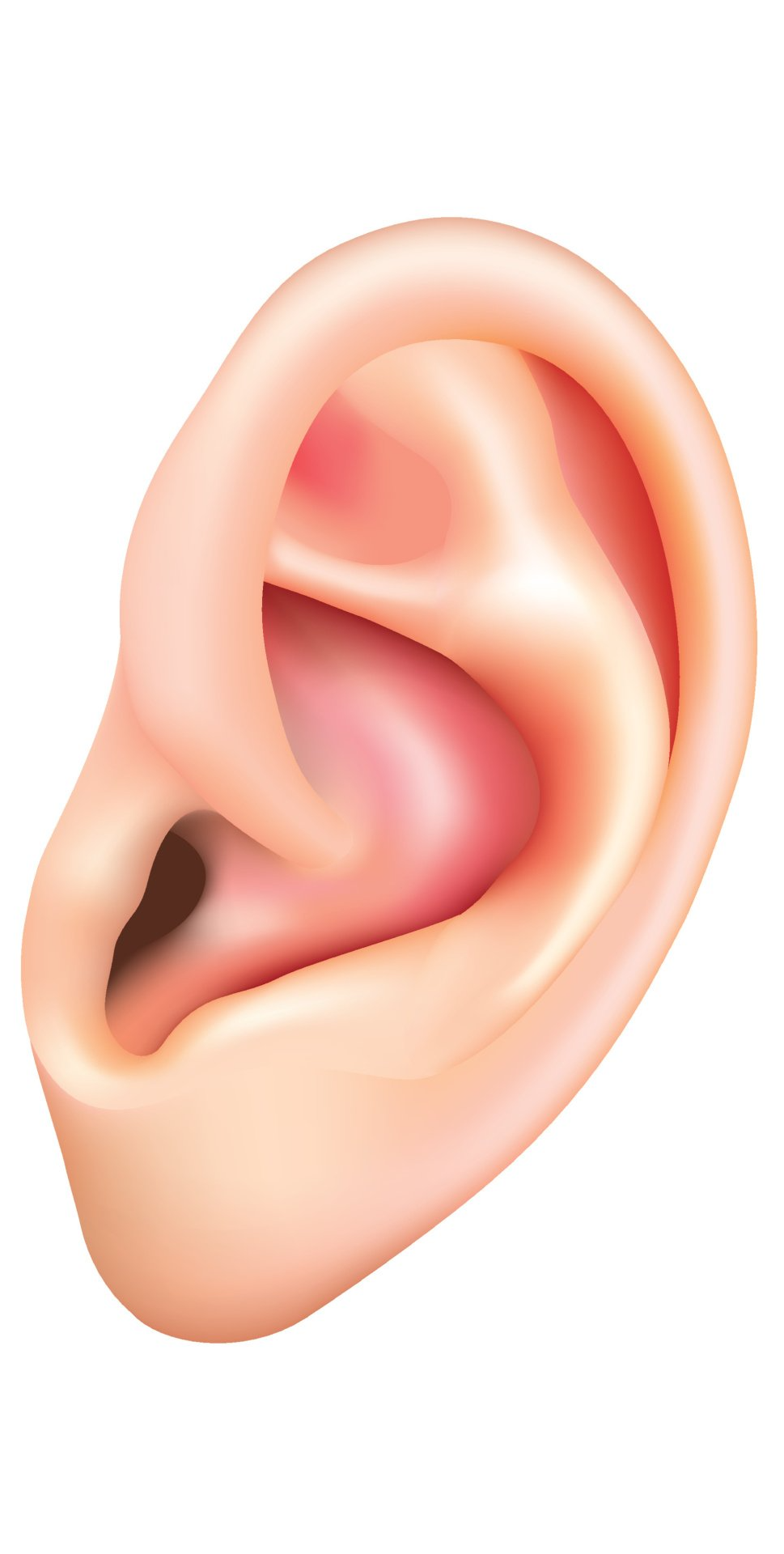 Linker Kanal Linker Kanal