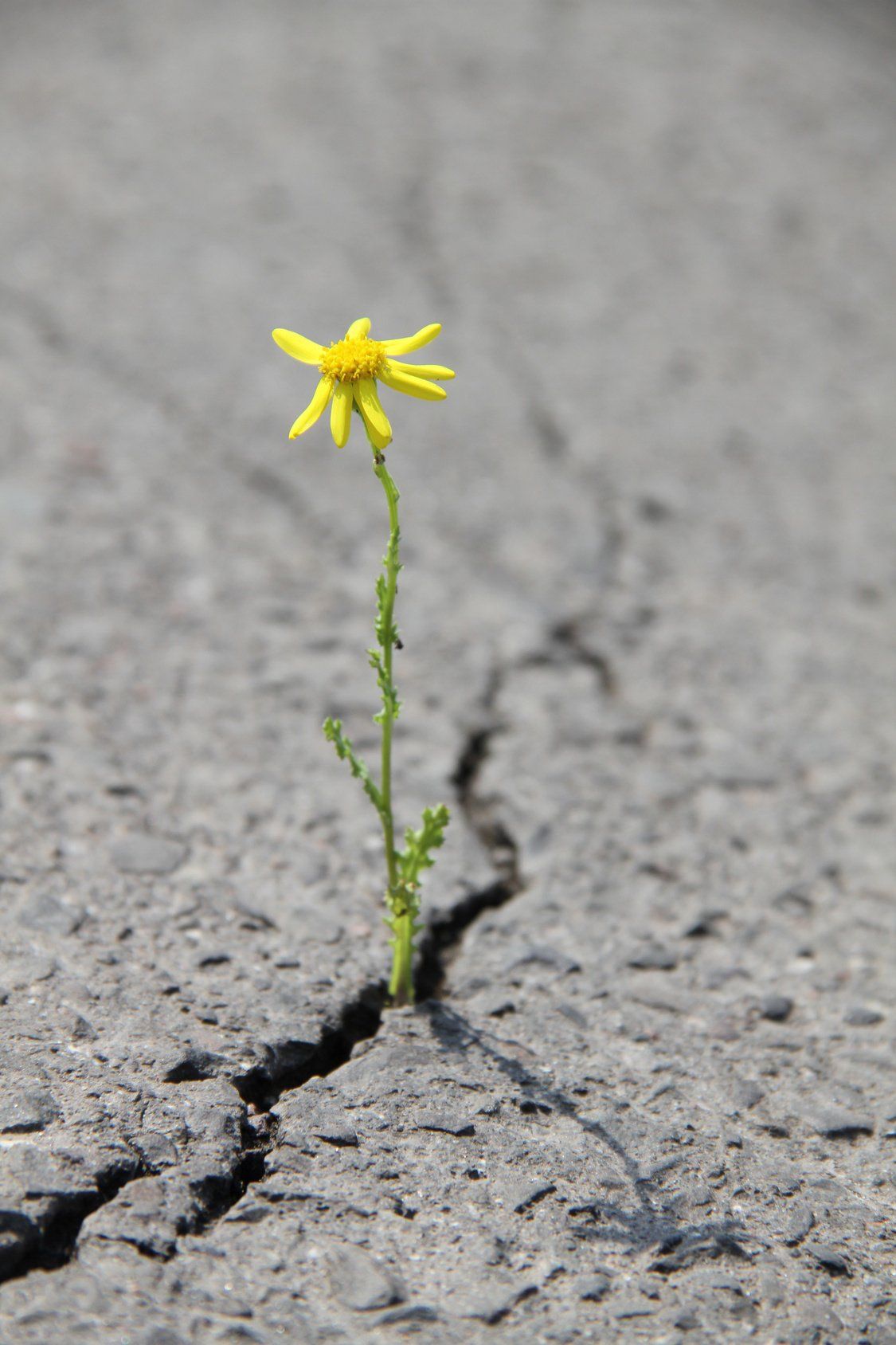 Ich bin stärker als Ihr glaubt Ich bin stärker als Ihr glaubt