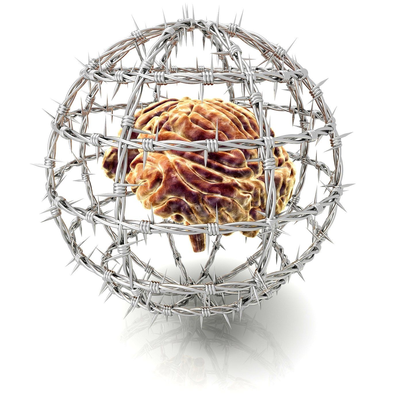 Das Gerät zwischen den beiden Ohren - braucht Freiheit wie Schutz im selben Moment vor Manipulation, Irritation und Illusion! Das Gerät zwischen den beiden Ohren - braucht Freiheit wie Schutz im selben Moment vor Manipulation, Irritation und Illusion!