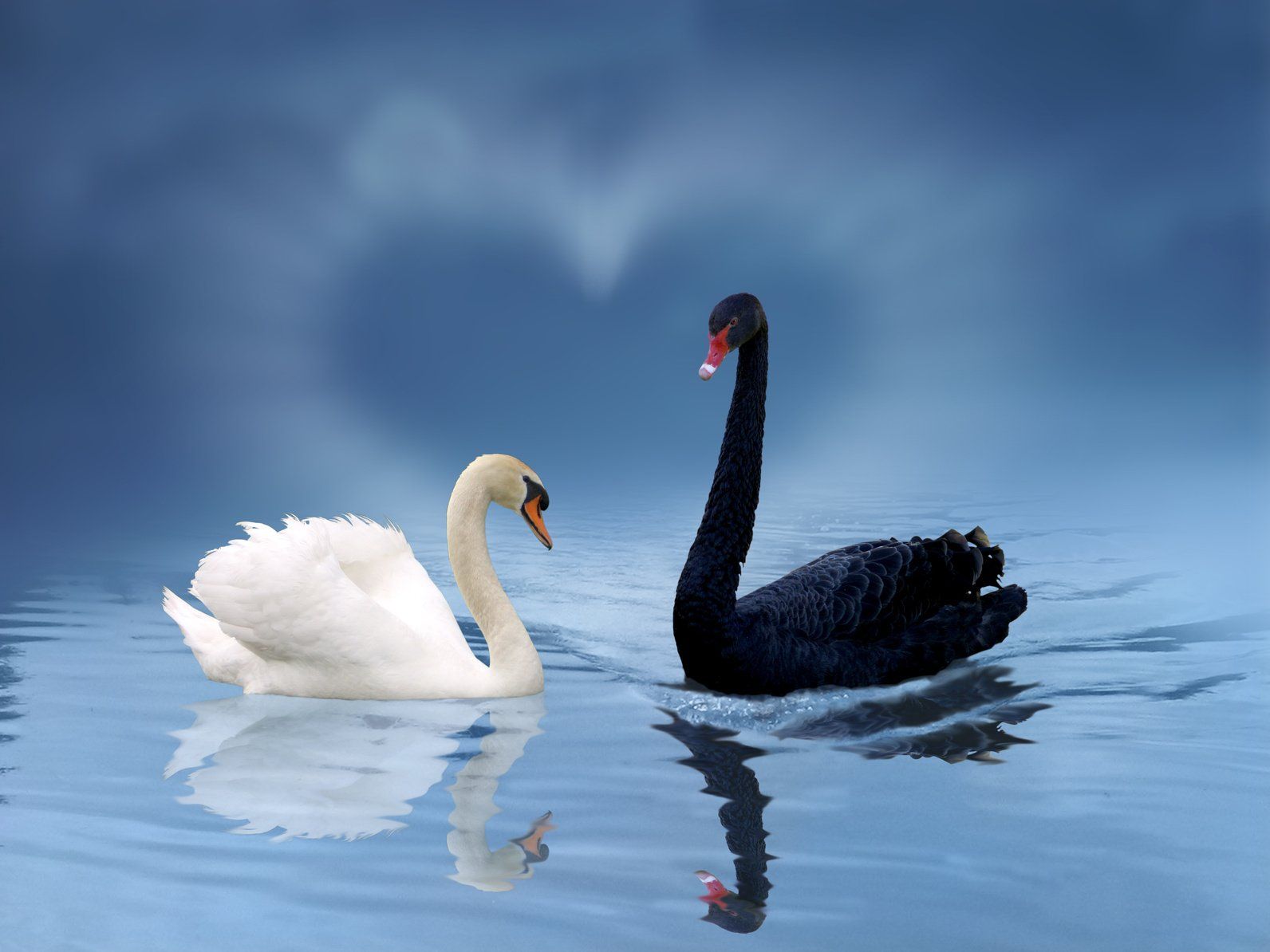 Zusammen-Sein im Getrennt-Sein Zusammen-Sein im Getrennt-Sein