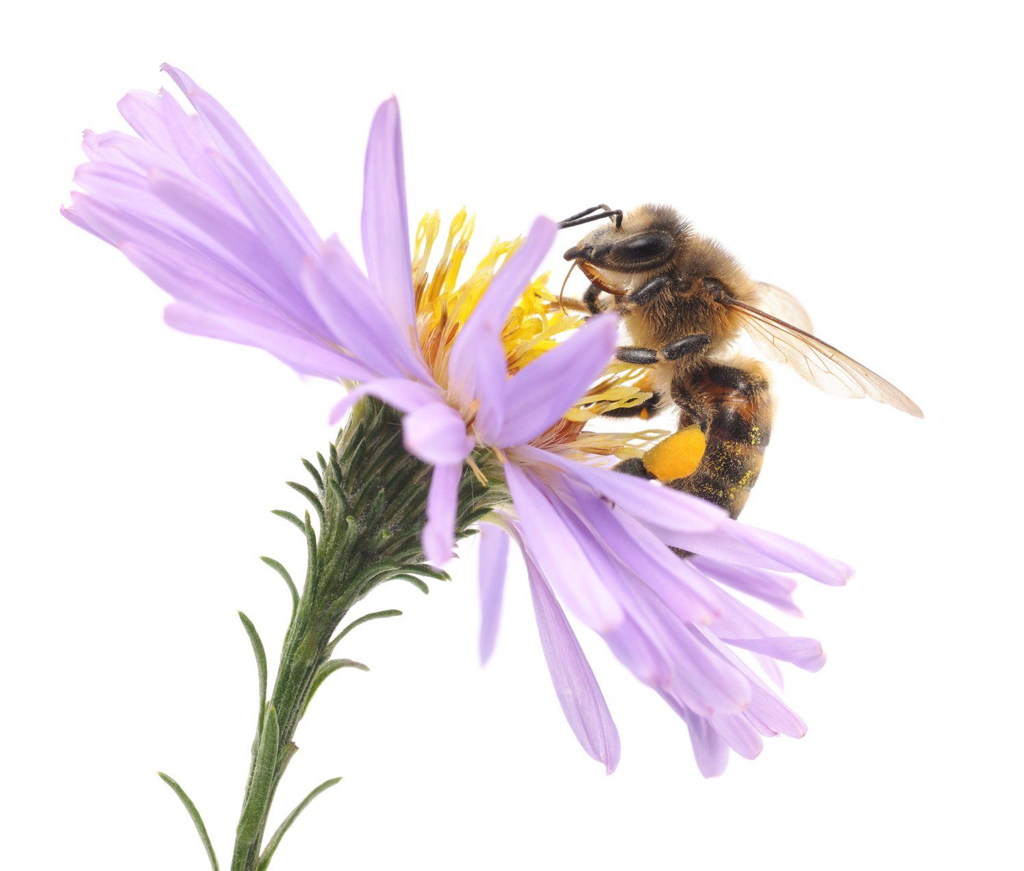 Ohne Fleiß kein Preis! Ohne Fleiß kein Preis!