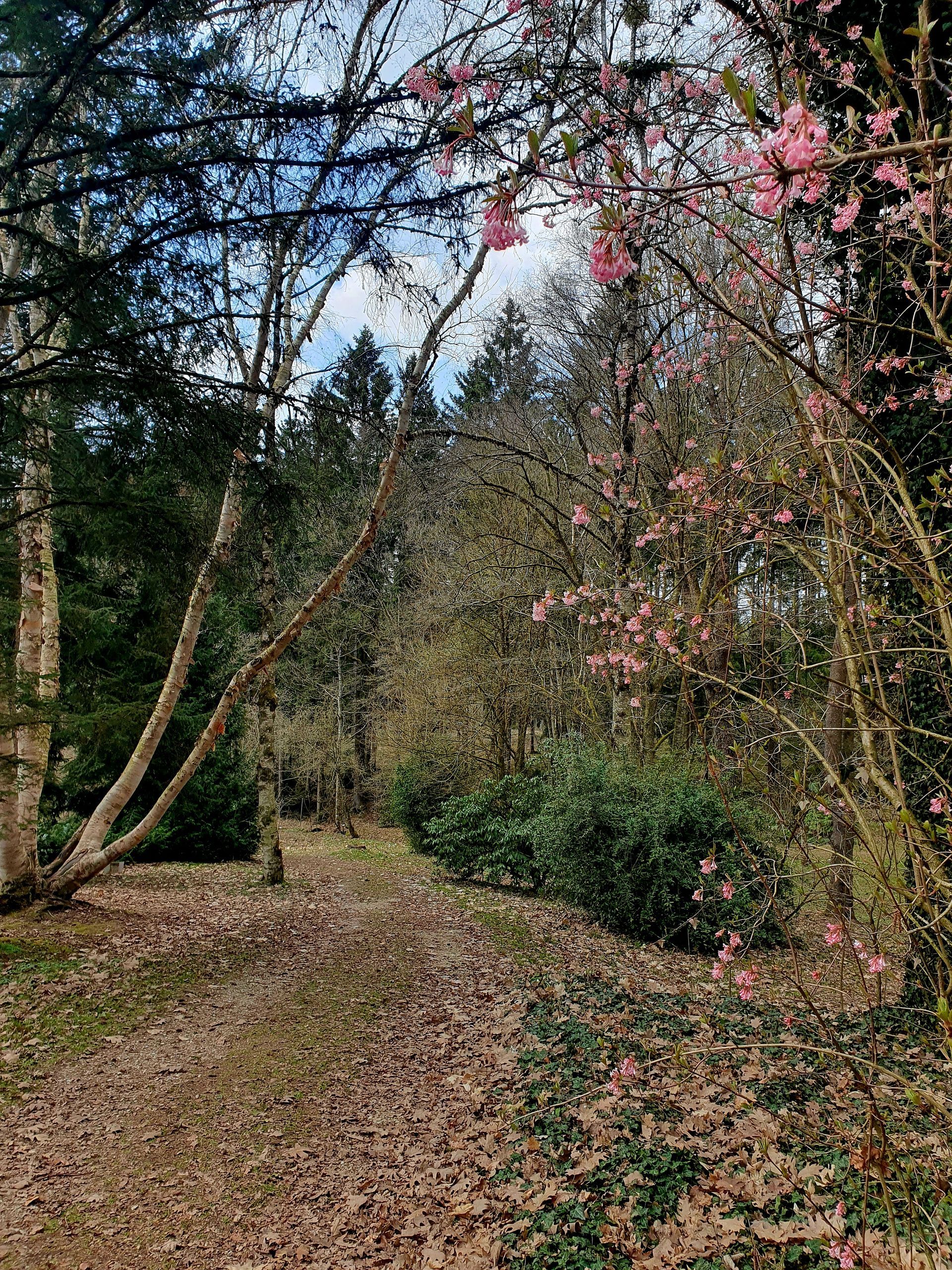 Botanischer Garten Frankenburg