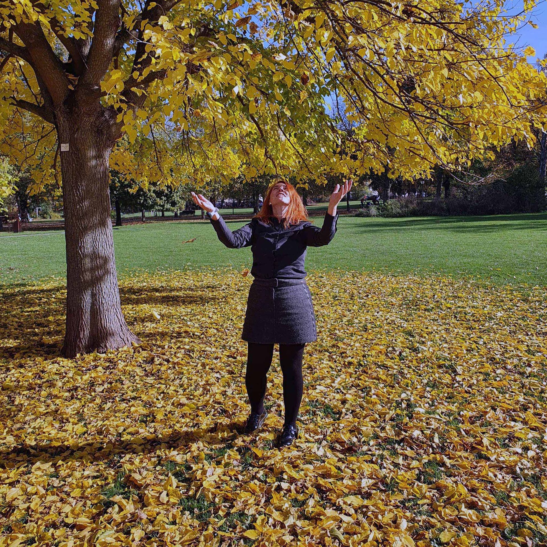 Kräuter-Touren Kräuter-Touren