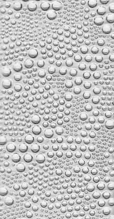 Türverglasung, Glasreparatur, Glasbruch