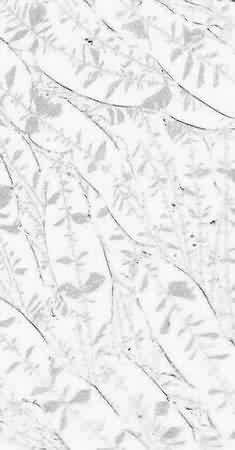 Türverglasung, Glasreparatur, Glasbruch