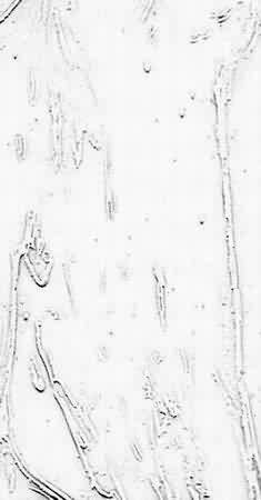 Türverglasung, Glasreparatur, Glasbruch