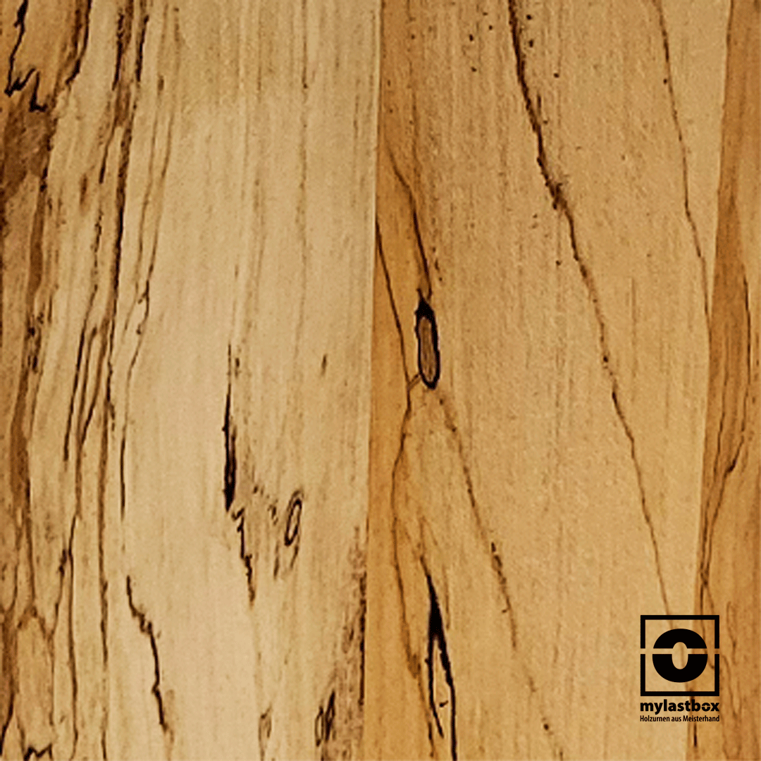 FriedWald GmbH, Urne, Rehau, Massivholz, Schmuckurne, Holzurne, Ruhewald, Waldfriedhof, Naturfriedhof, Bestattung