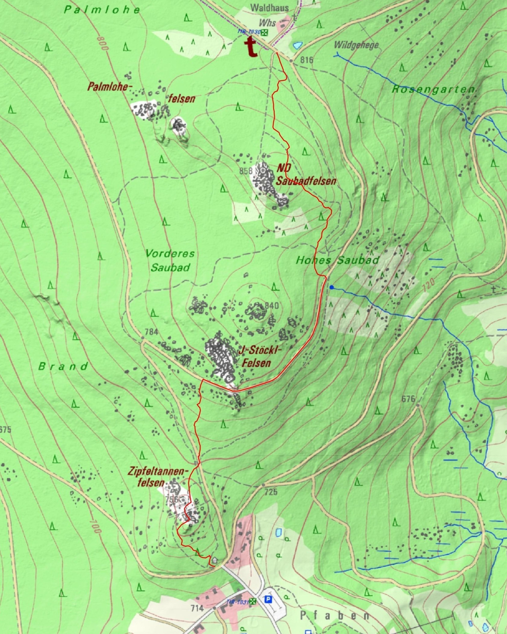 Trail, MTB, Steinwald