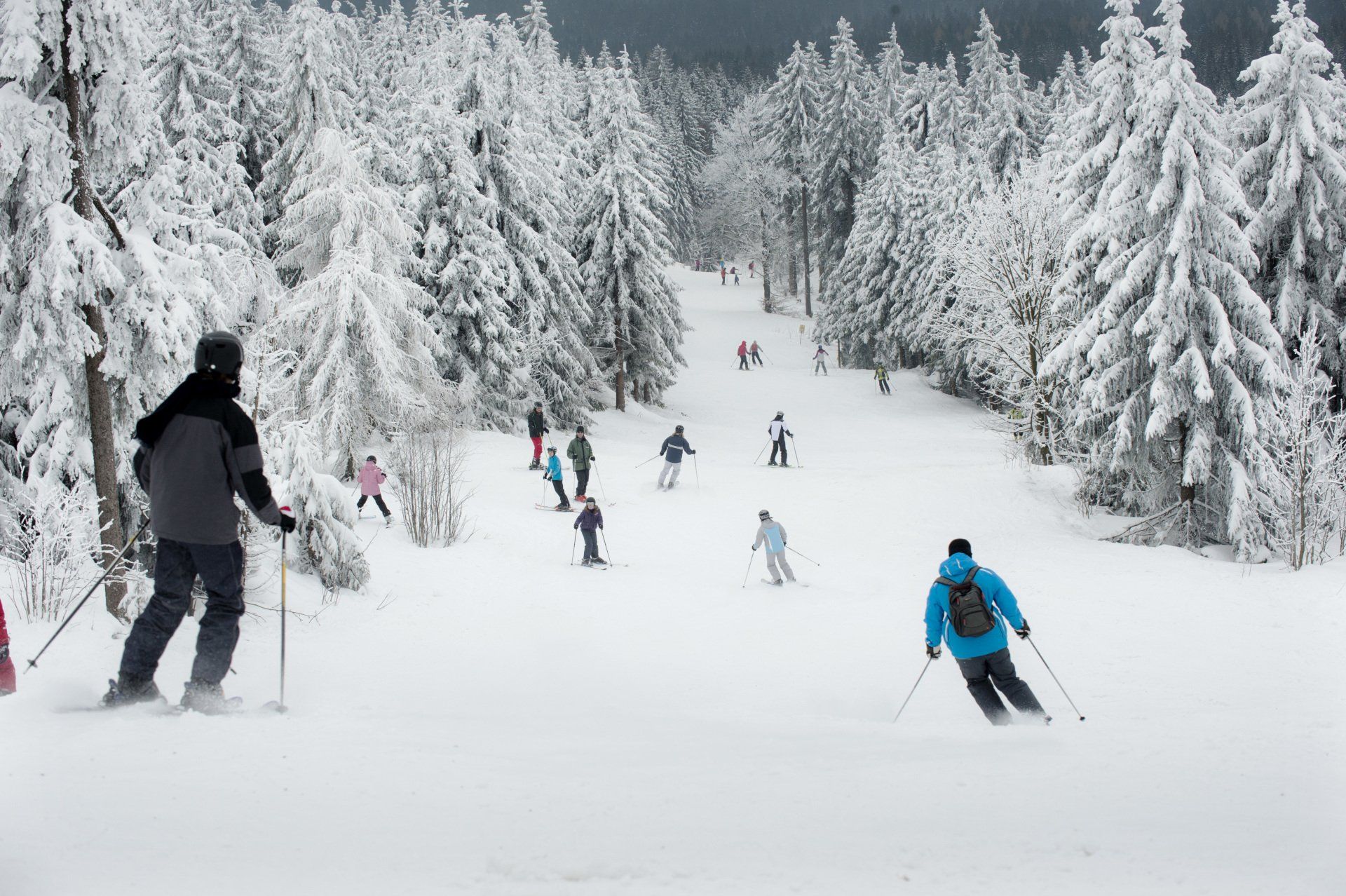 Ski Alpin: Abfahrt fahren im Steinwald in Pfaben und in Tannenlohe sowie am Ochsenkopf im Fichtelgebirge