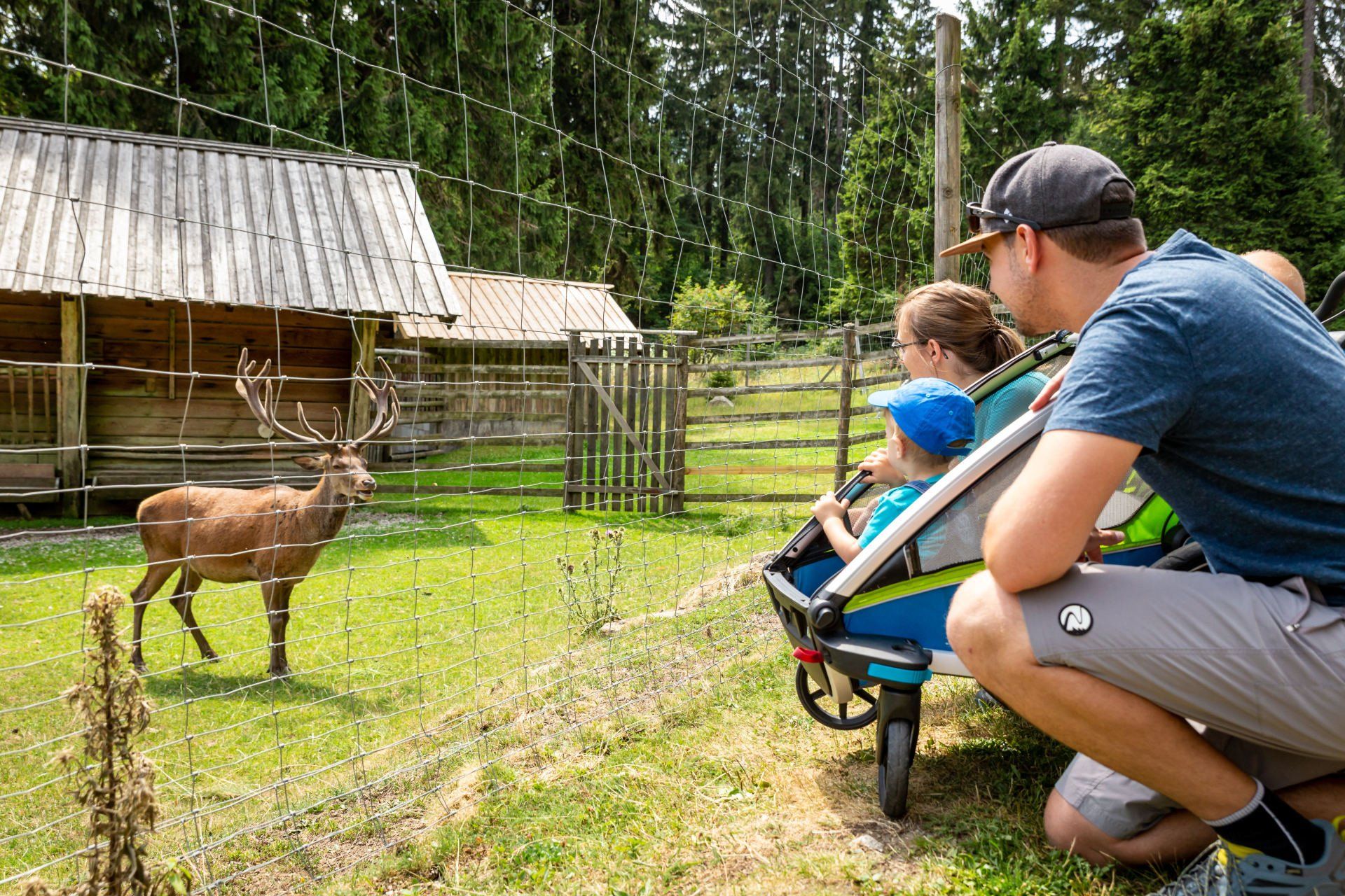 Ausflugslokal Waldhaus im Naturpark Steinwald