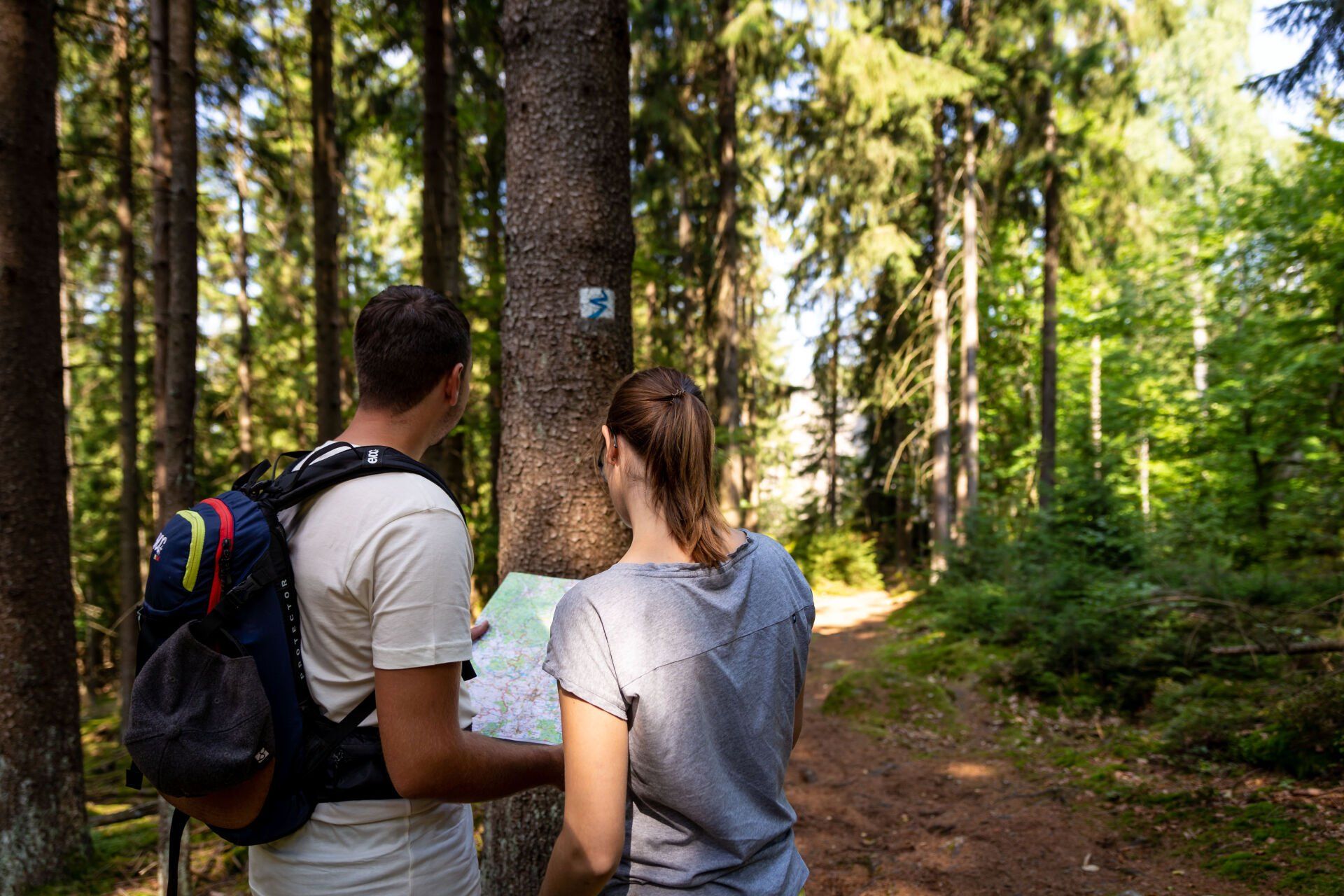 Tour selber planen, Steinwald, Routing, Wandern