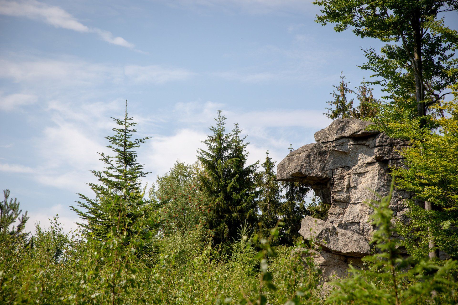 Picknickservice, Steinwald, Zipfeltannenfelsen, Bioladen Schwammerl, Erbendorf, Picknick, Service