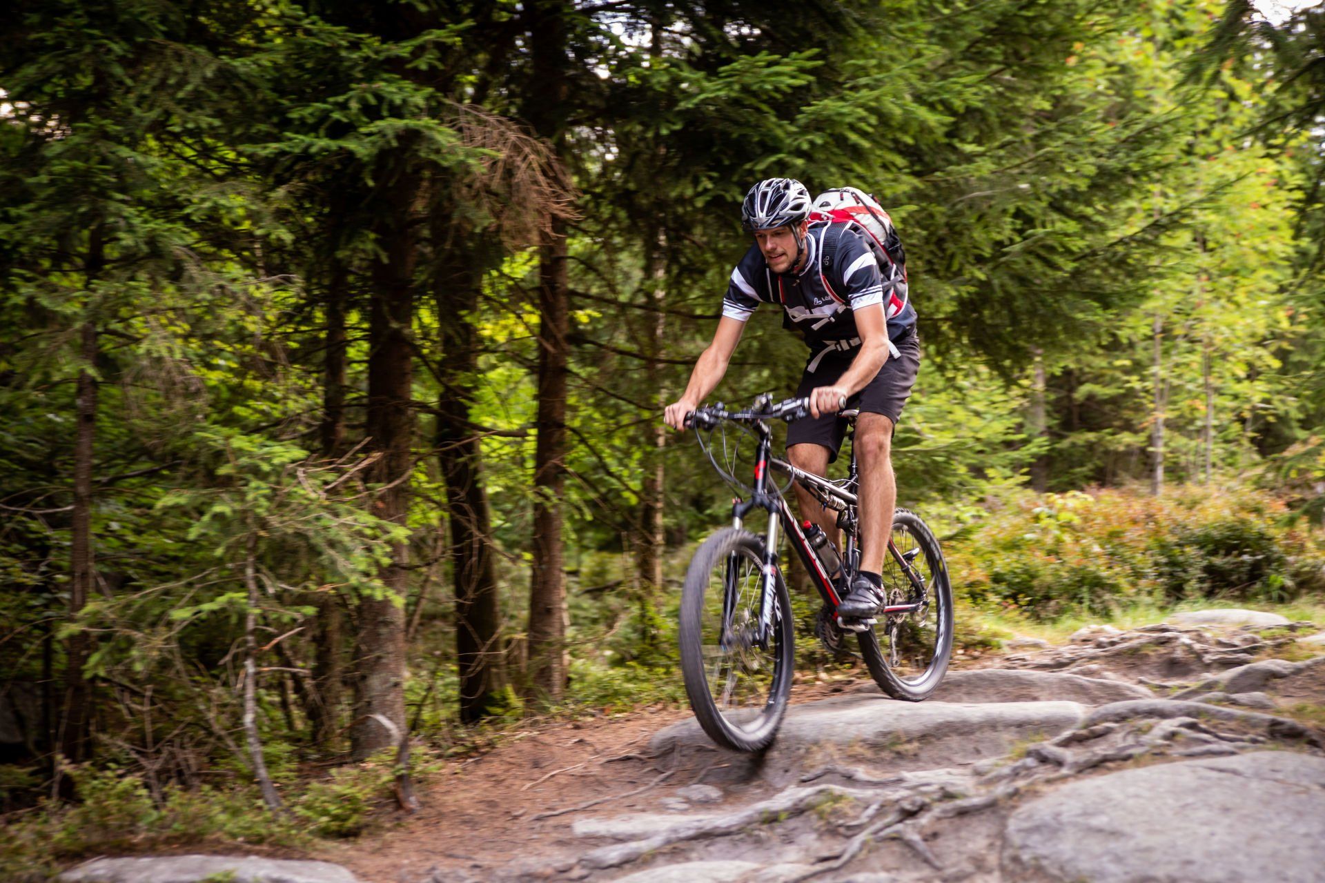 Picknick, Steinwald, Sagenhafte Steinroute, MTB 4, Zipfeltannenfelsen