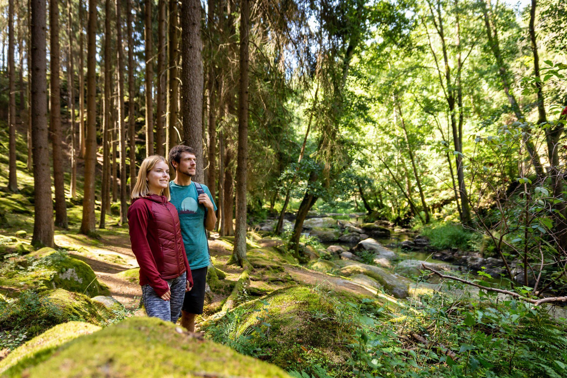 Waldnaabtal, Falkenberg, Windischeschenbach, Waldnaabtal Rundweg, Blockhütte, Goldsteig, Steinwald