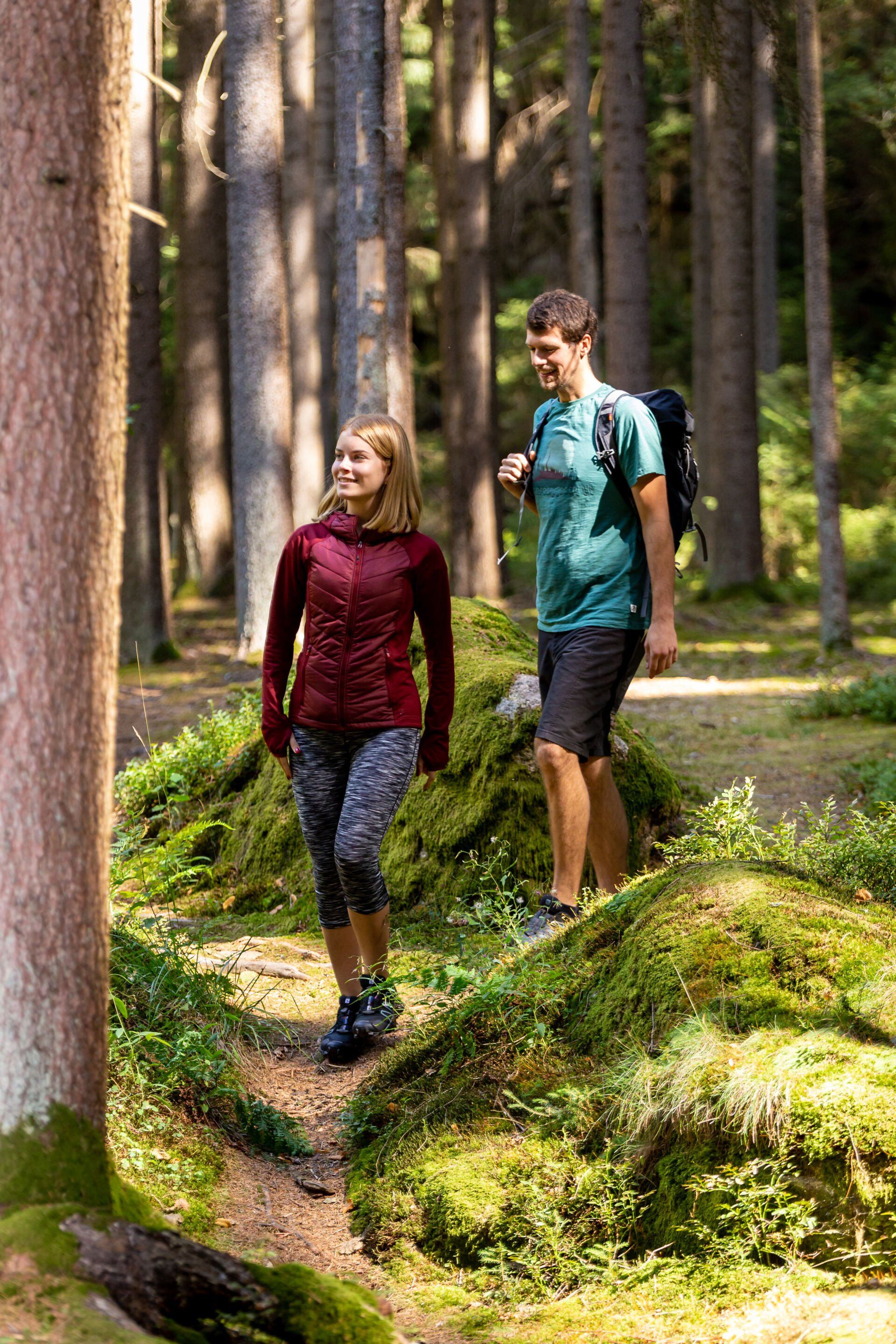 Wanderwege und Touren im Naturpark Steinwald und Waldnaabtal