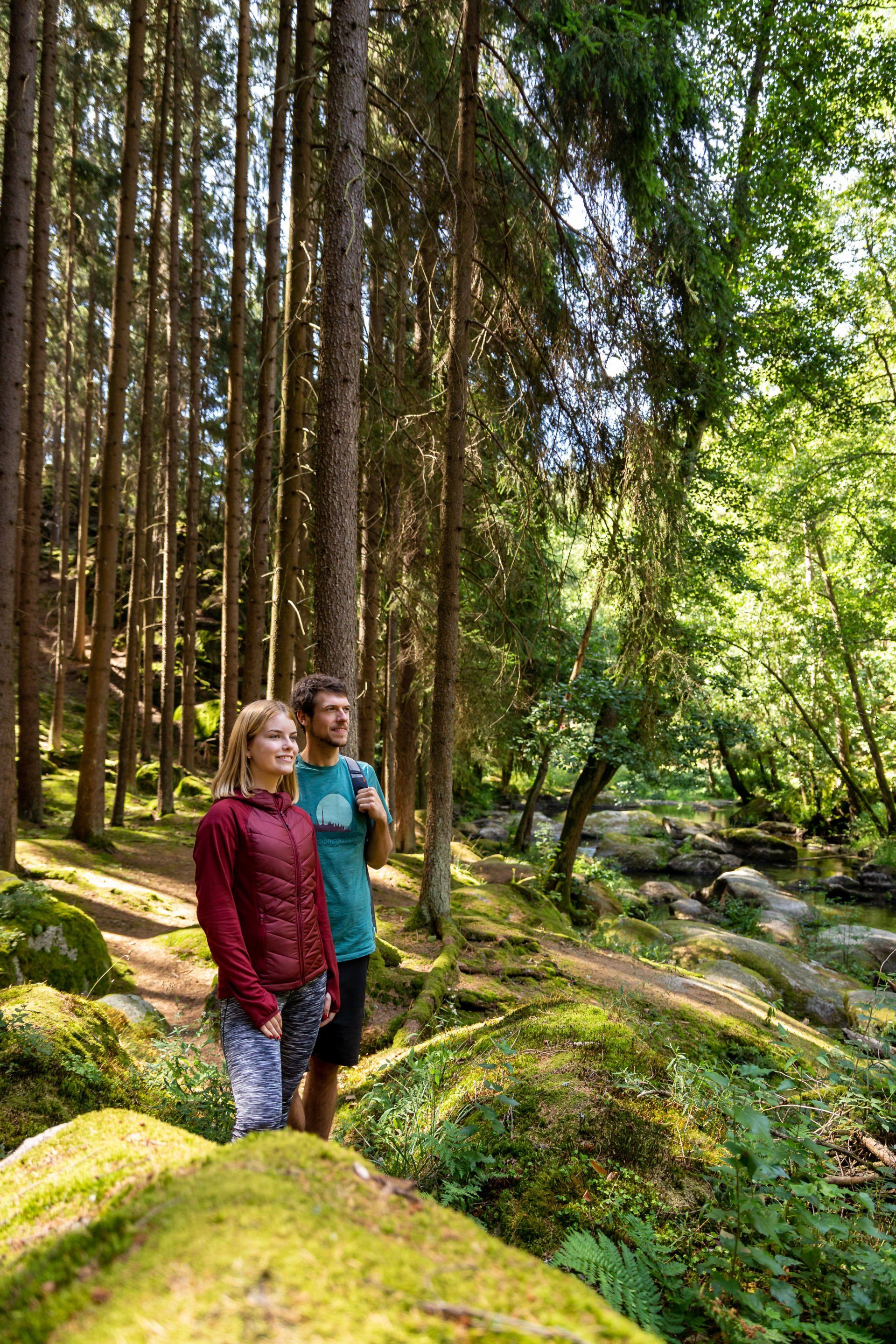 Wandern im Waldnaabtal zwischen Falkenberg und Windischeschenbach. Naturschutzgebiet im Oberpfälzer Wald.