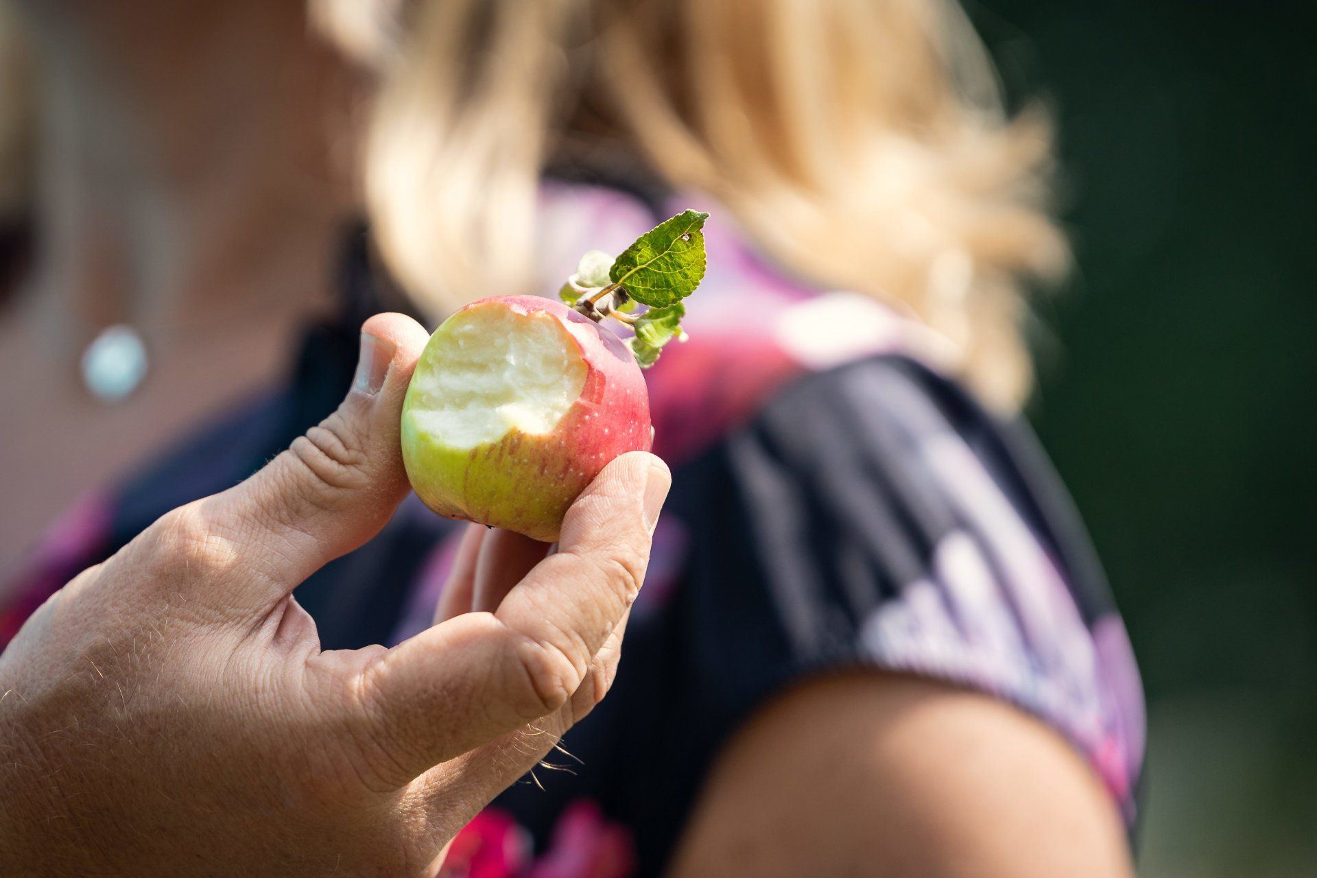 EWILPA, essbare Wildpflanzenpark, Waldeck, Kemnath, Schlossberg, Hollerhofe, Steinwald, Kemnather Land