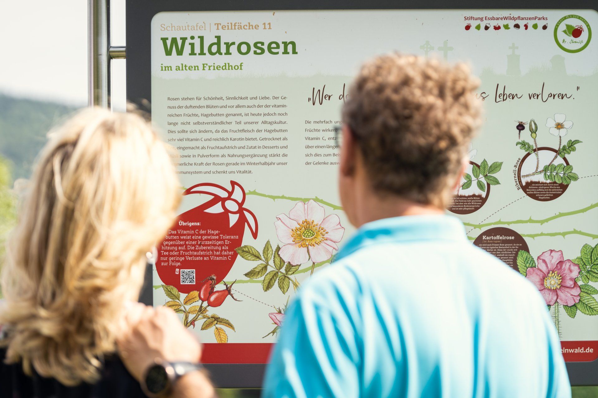 Essbarer Wildpflanzenpark in Waldeck im Steinwald