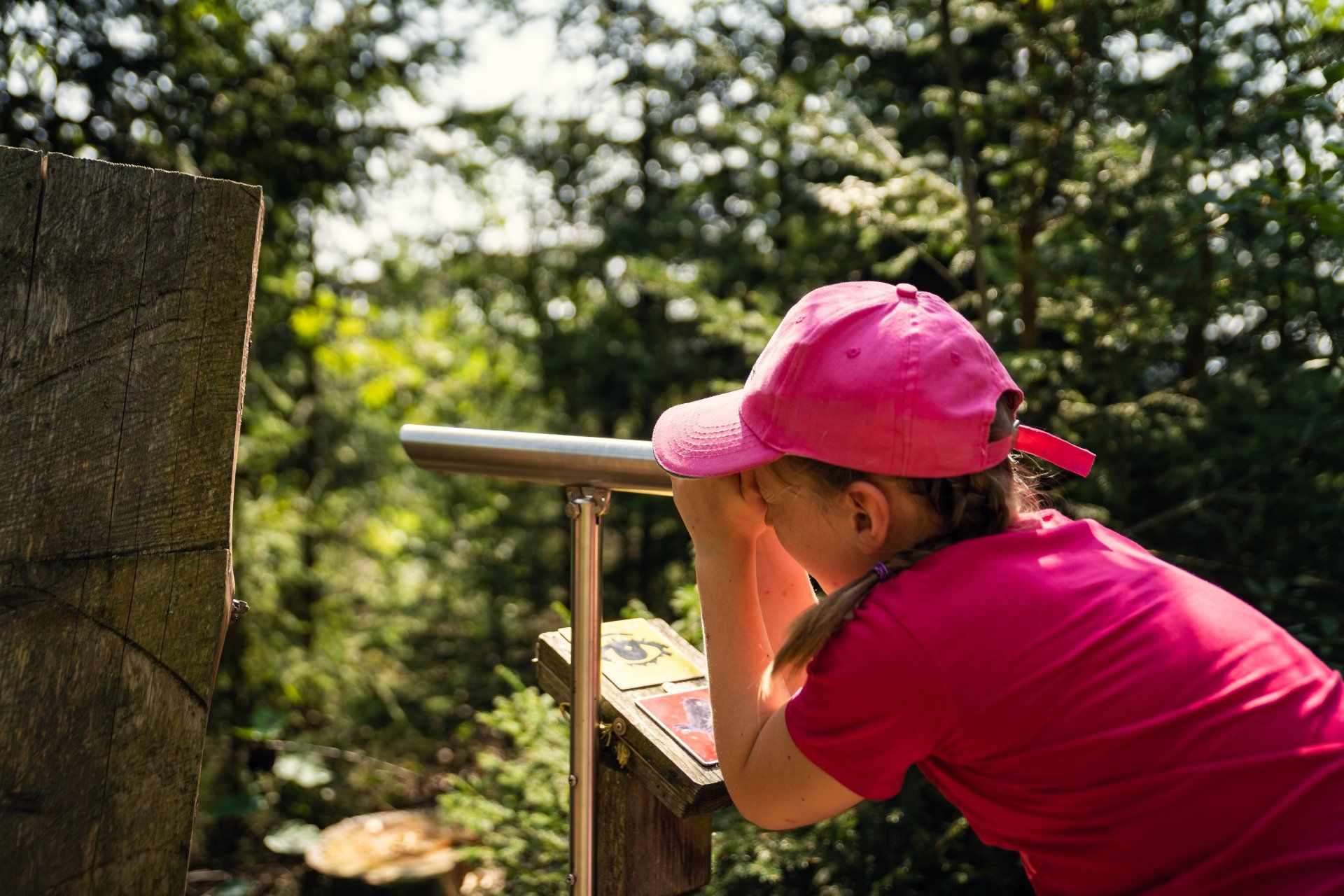 Der WaldErlebnispfad im Fuchsmühl ist ein Weg für Kinder und Familien mit Entdeckerstationen zum Thema Wald und heimischen Tieren.