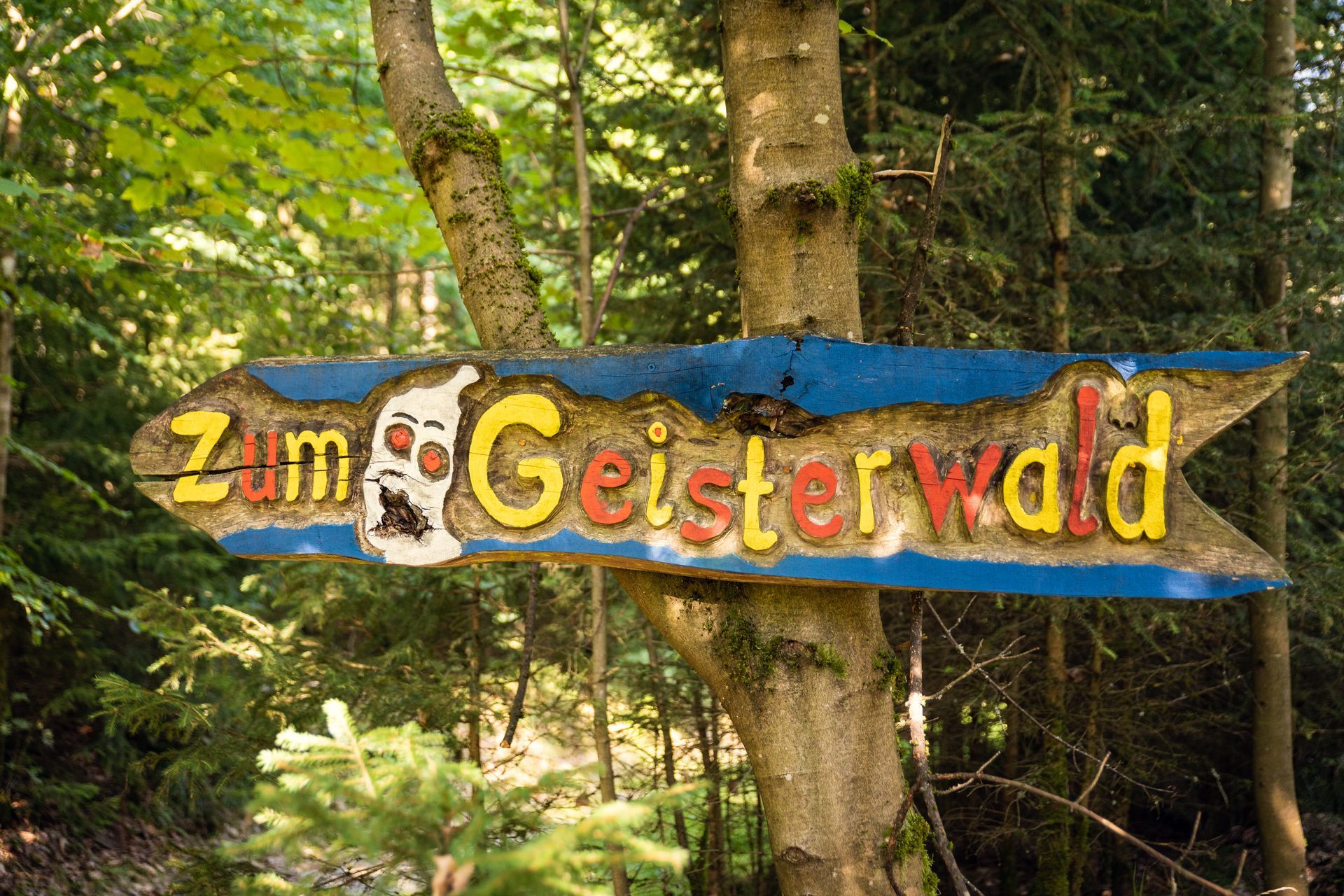 Der Oberpfalzturm auf der 946 Meter hohen Platte, die höchste Erhebung im Naturpark Steinwald.