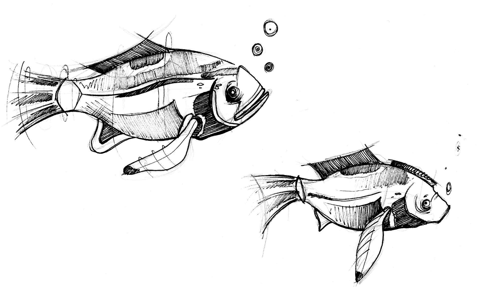 Fische im Land der 1000 Teiche, Landkreis Tirschenreuth, Steinwald, Stiftland, Karpfen