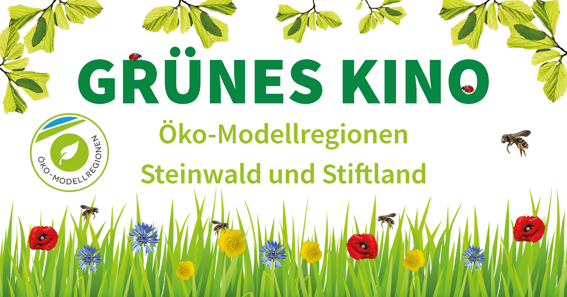 Grünes Kino, Öko-Modellregion, Steinwald, Stiftland, Biodiversität, ökologische Landwirtschaft, Bio, Nachhaltigkeit