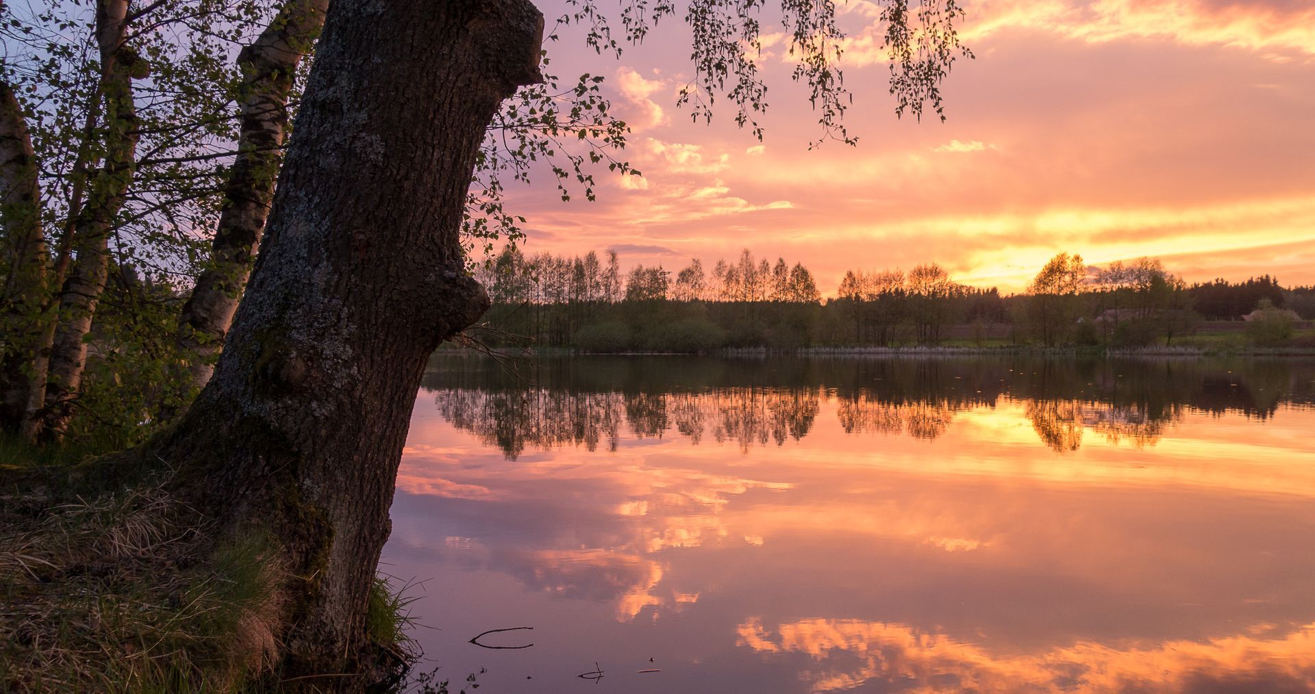 Das Naturschutzgebiet Waldnaabtal zwischen Falkenberg und Windischeschenbach Nähe Naturpark Steinwald bzw. Oberpfälzer Wald.
