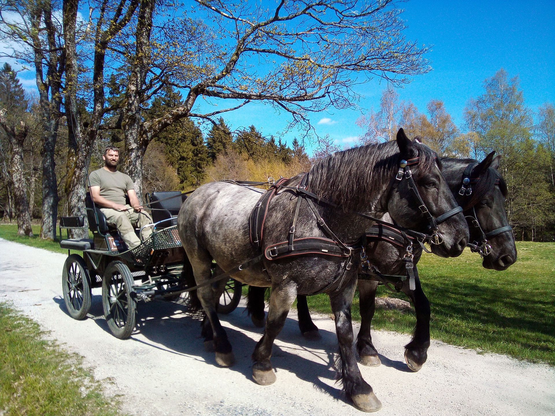 Kutschfahrten Engelhardt im Naturpark Steinwald, Friedenfels, Bärnhöhe
