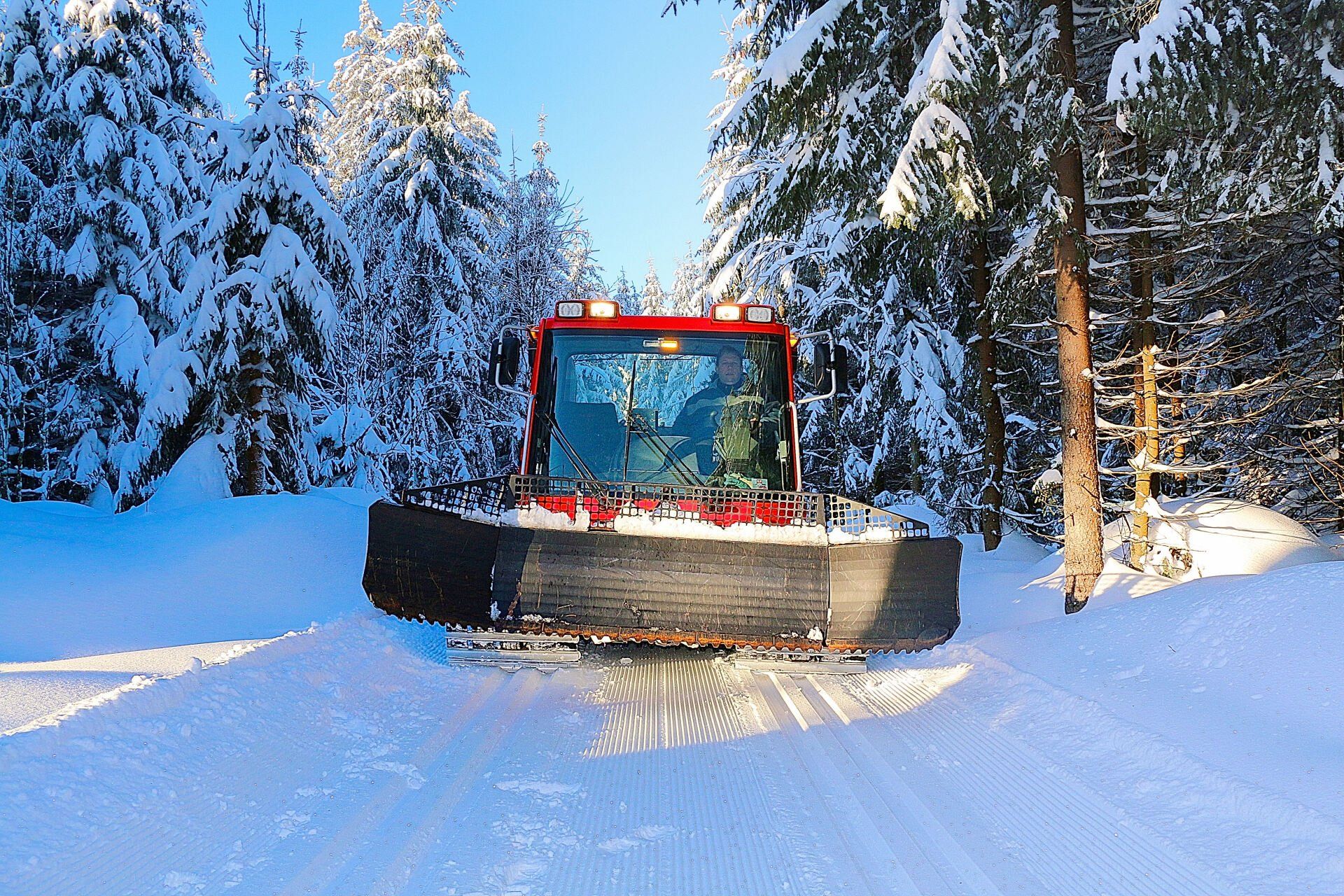 Rotwildgehege im Steinwald, Rücksichtnahme auf Wildtiere im Naturpark Steinwald während der Winterzeit