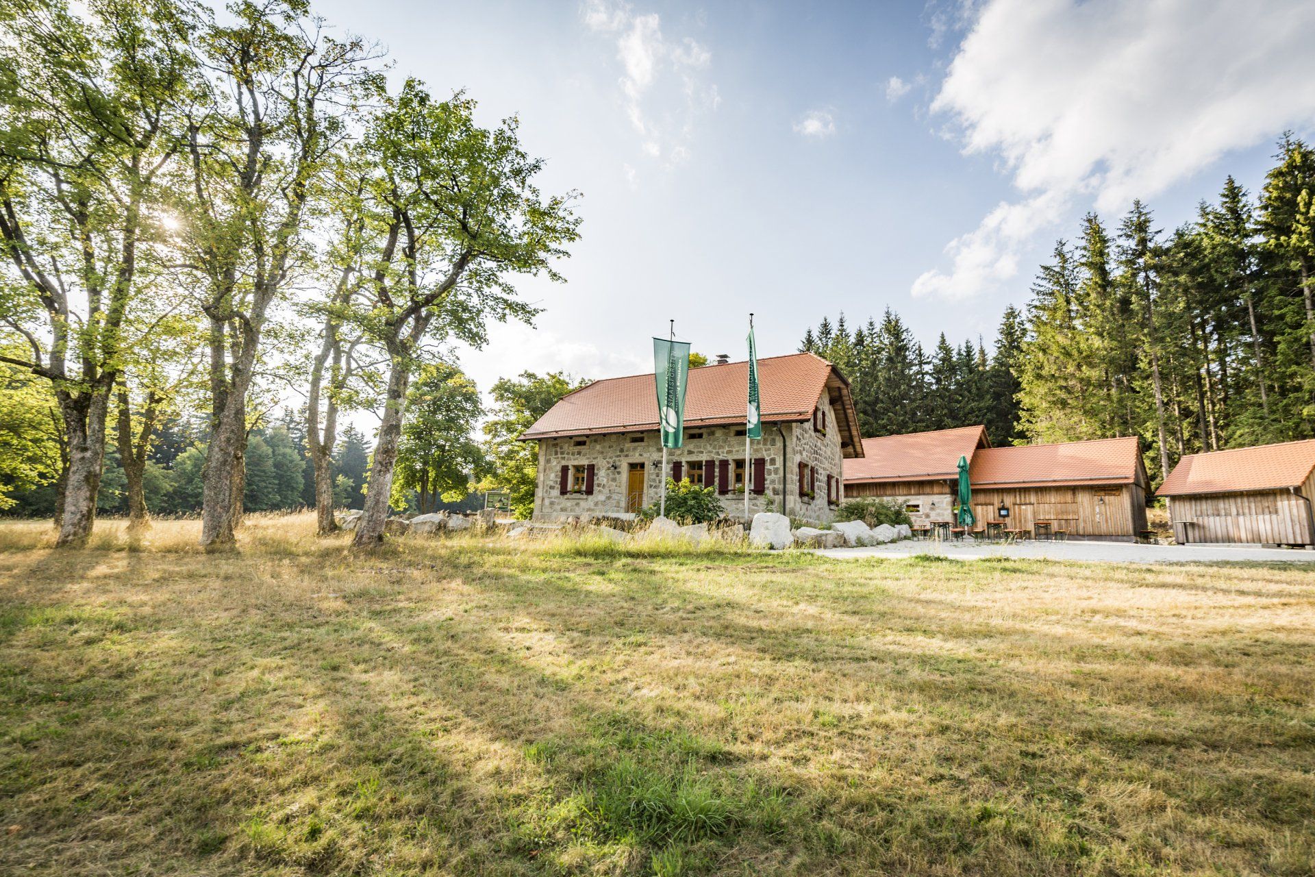 Südweg zwischen Waldhaus im Steinwald und Markt Wiesau