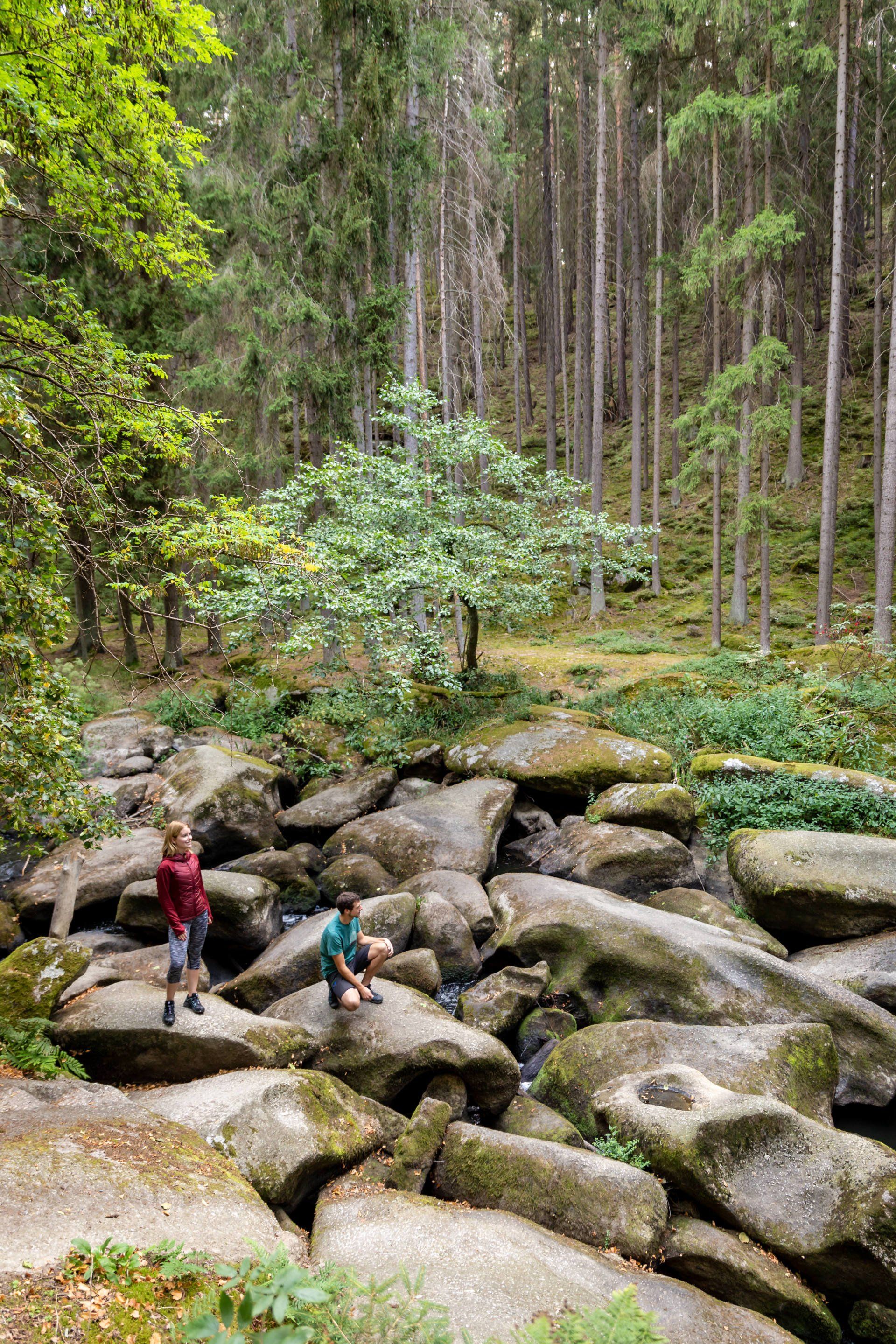 Waldnaabtal Rundweg bei Falkenberg
