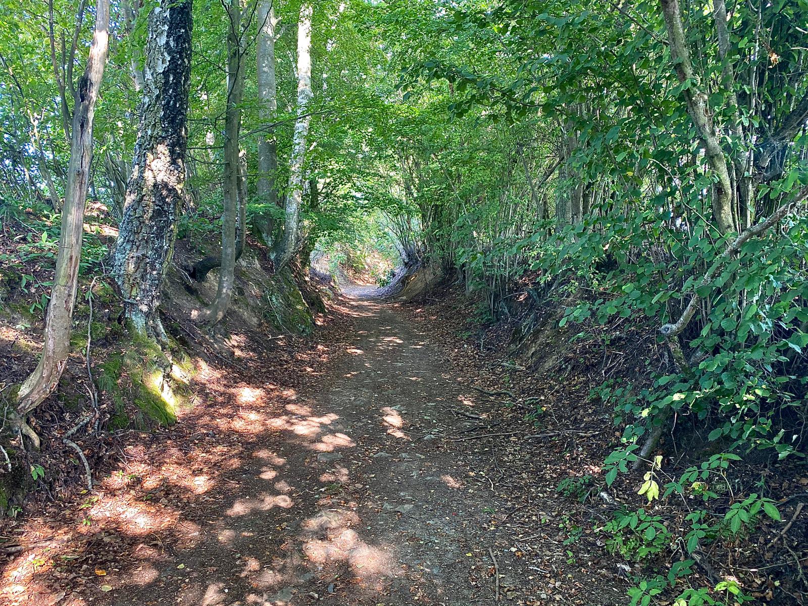 Landschaftskundlicher Wanderweg Friedenfels