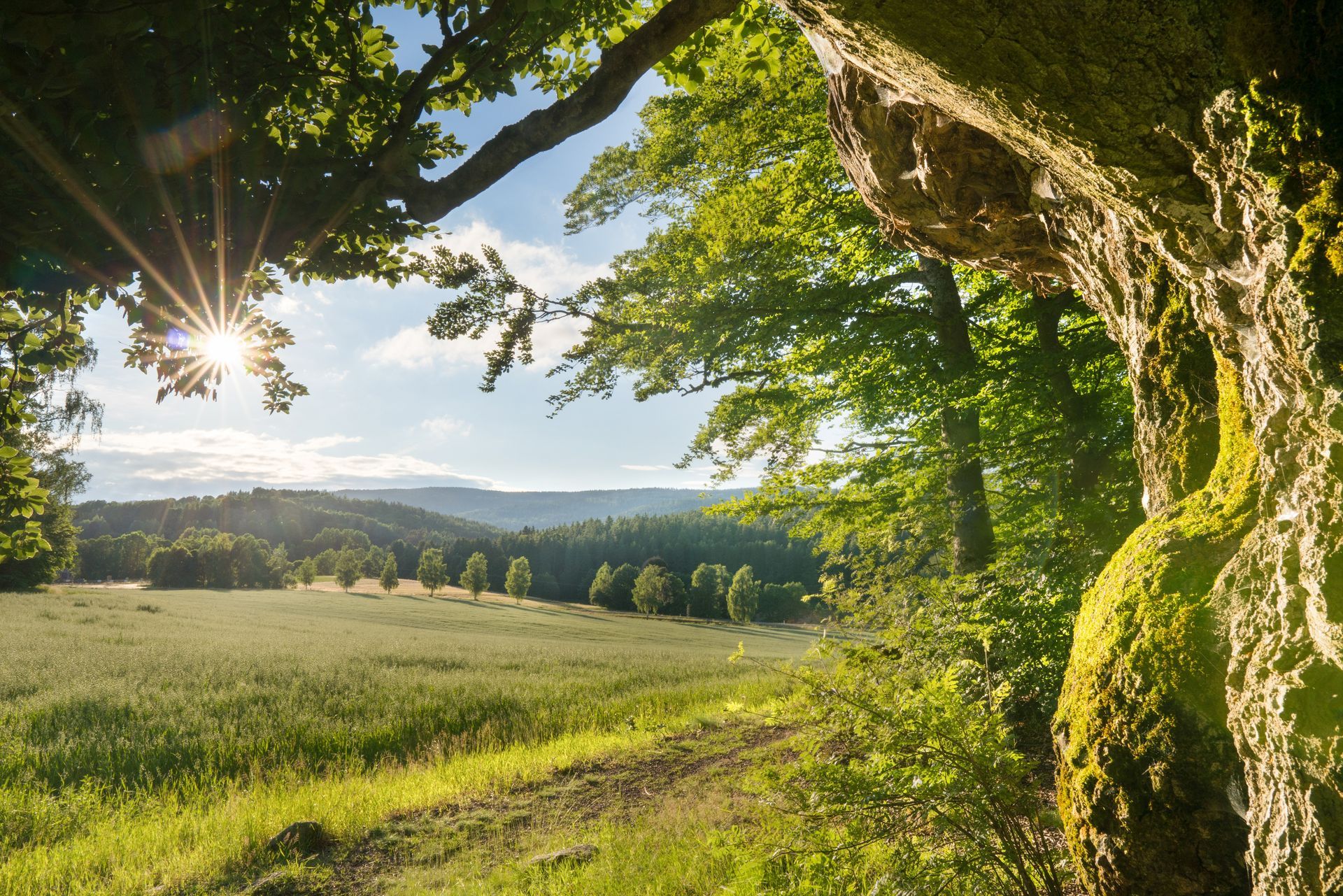 Das Naturschutzgebiet Waldnaabtal zwischen Falkenberg und Windischeschenbach Nähe Naturpark Steinwald bzw. Oberpfälzer Wald.