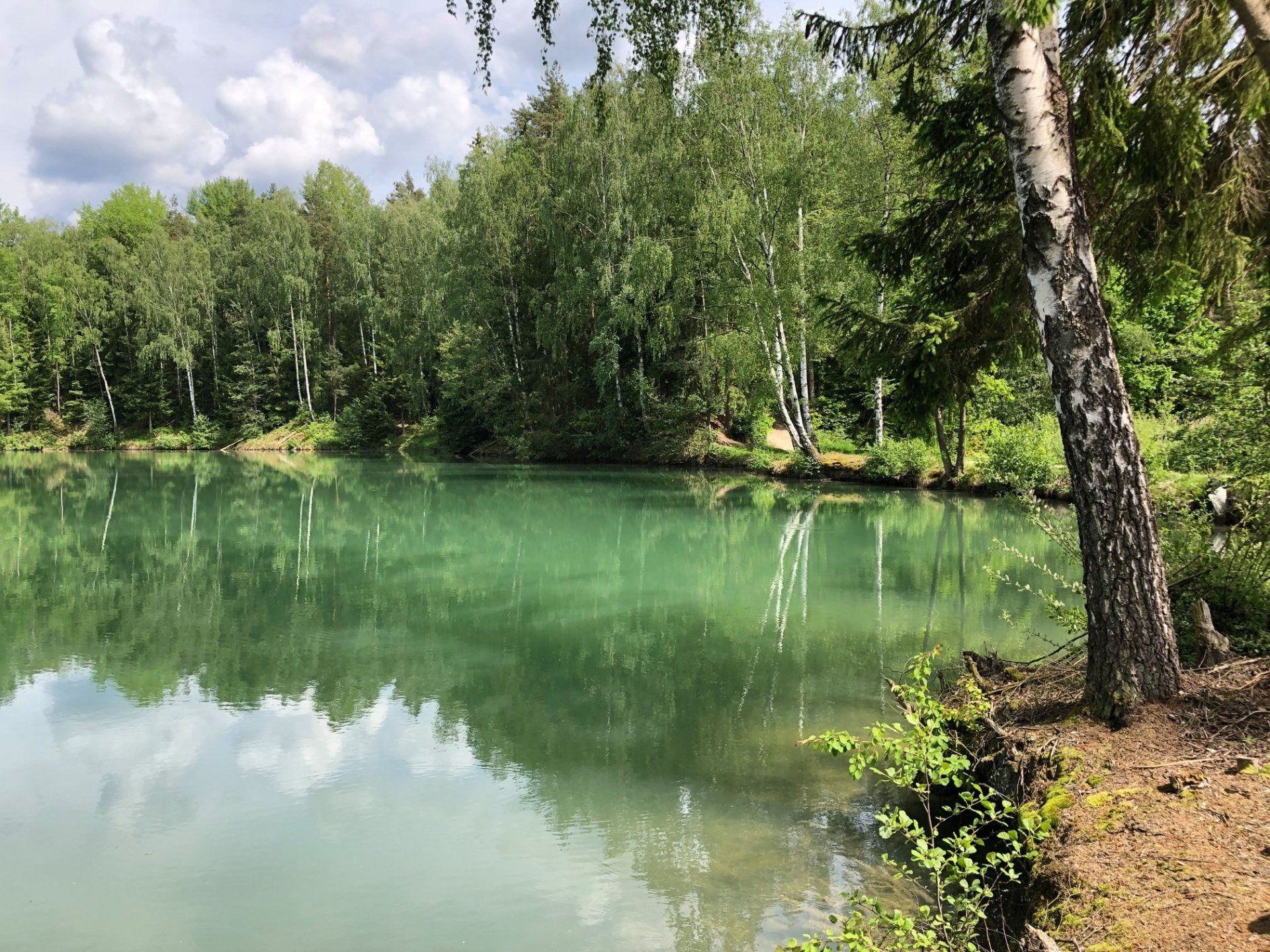 Naturerlebnispfad Wiesau, Wiesauer Waldseen, Kipp, Steinwald, Land der 1000 Teiche