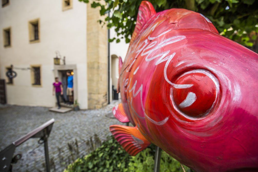Karpfen Radweg Kemnath, , Steinwald, Land der 1000 Teiche
