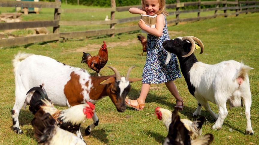 Apprentissage de l'ANGLAIS et de l'ESPAGNOL