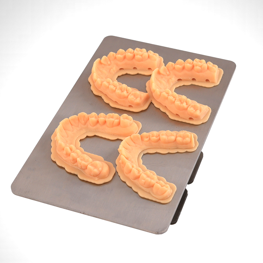 Orthodontics models